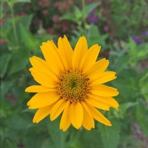 Meet your Posher, Alaina